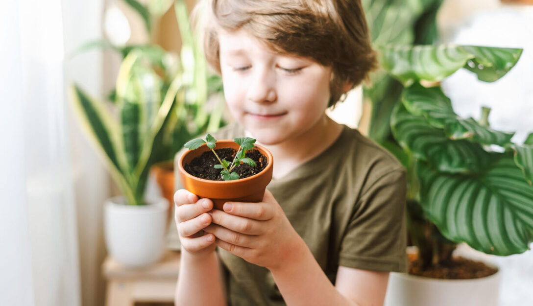 Dziecko wśród roślin trzymające doniczkę z roślinką