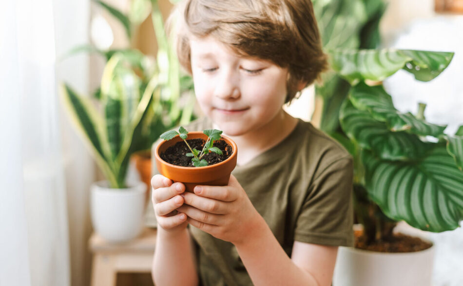 Dziecko wśród roślin trzymające doniczkę z roślinką